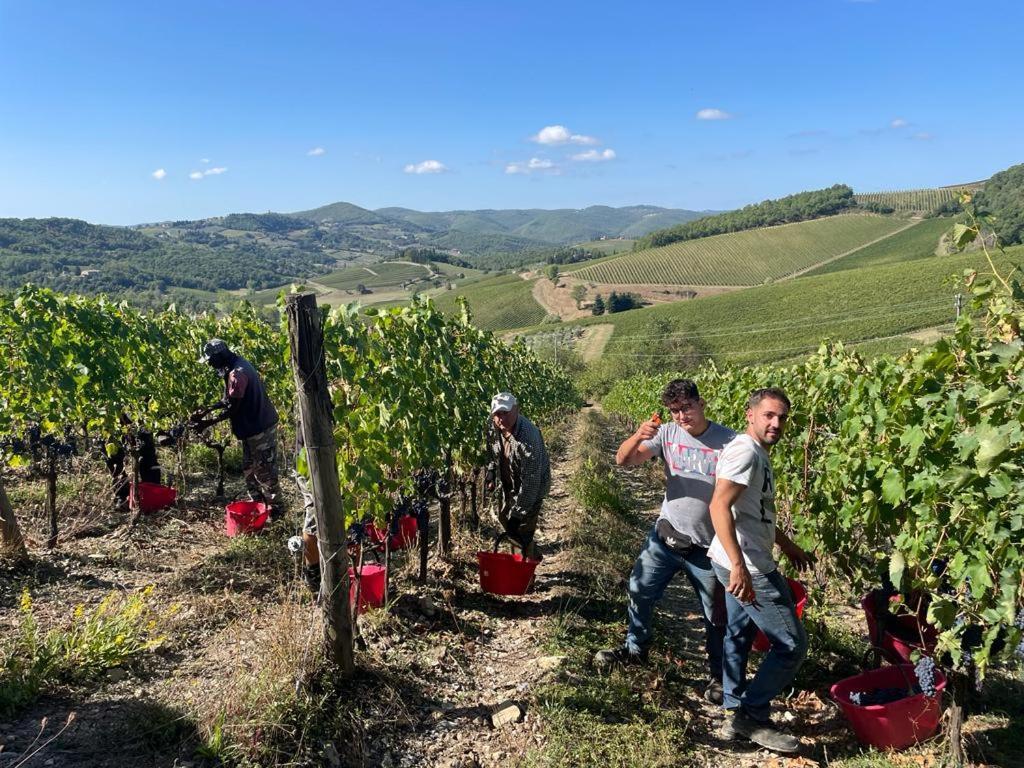 Fattoria Poggerino Bed & Breakfast Radda in Chianti Exterior photo